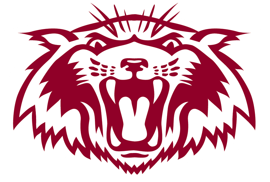 Wildcat