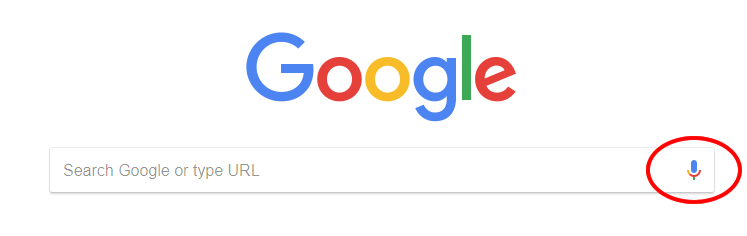 Google Voice Search 
