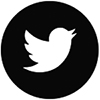 Twitter icon