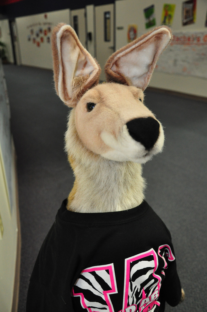 Wallaroo Mascot 