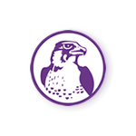 Falcon logo 