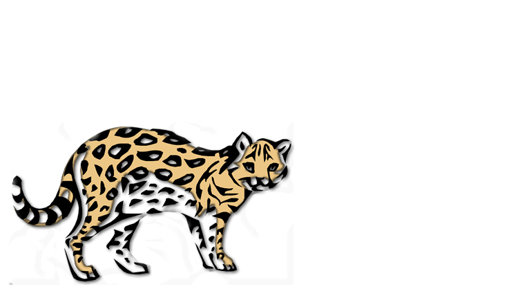 Ocelot 