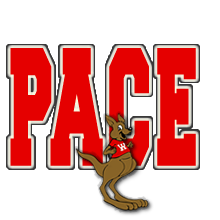Pace Logo