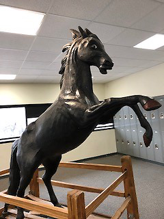 Hallway Stallion 