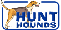 Hunt Hounds logo 