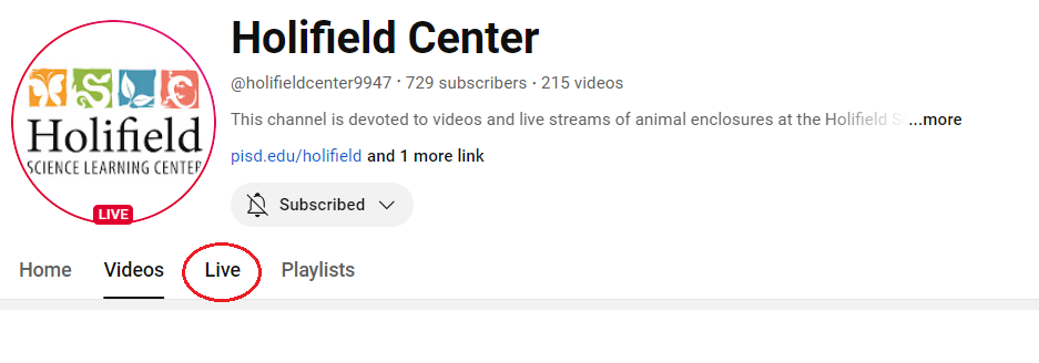 This is a picture of what the Holifield YouTube page looks like.