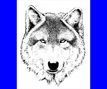  Plano West Wolf 