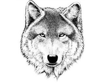 Plano West forward facing wolf logo