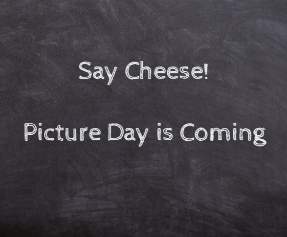  PicDay