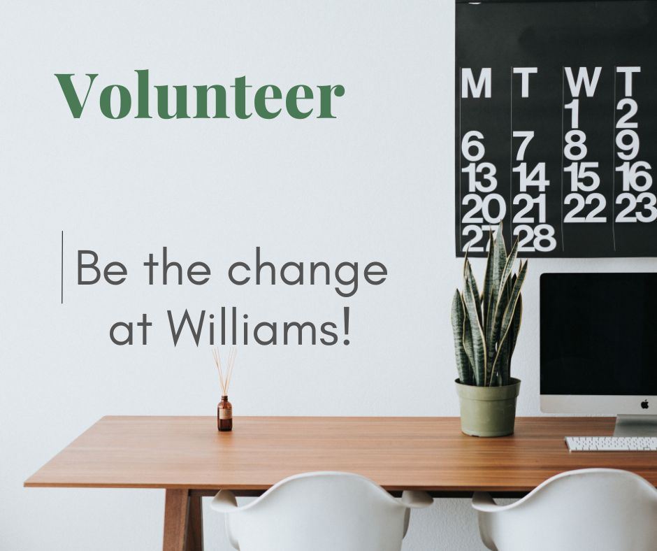  volunteer 