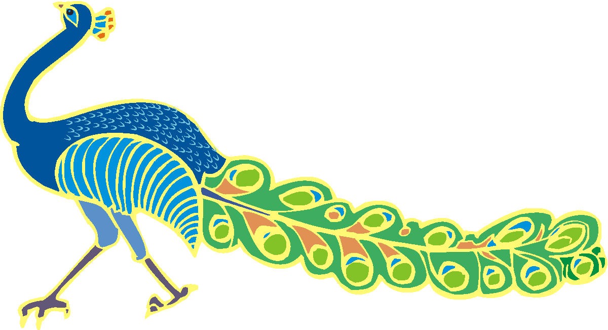 Peacock 
