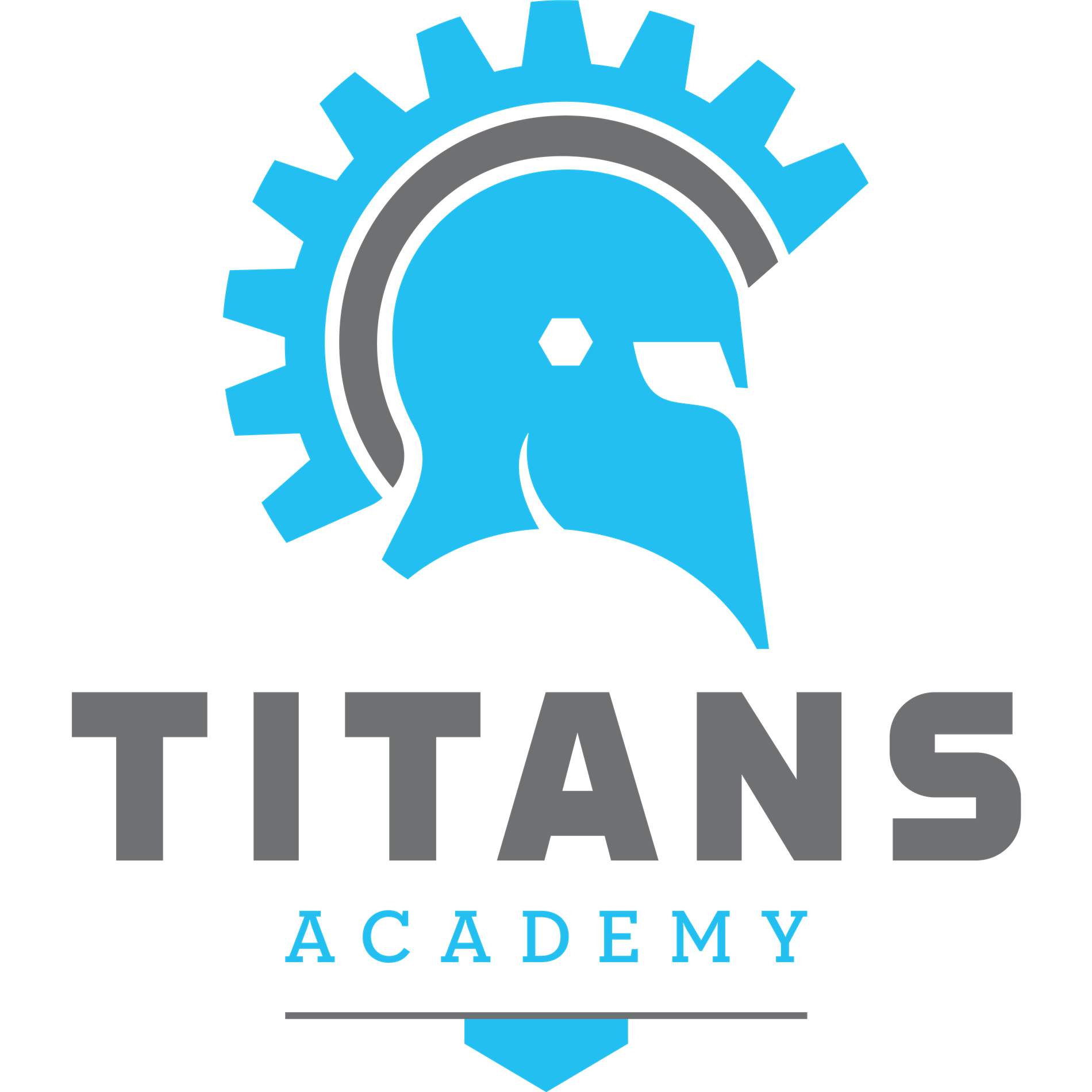Tians Academy High School loge
