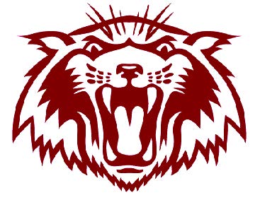 Plano Wildcat Logo 