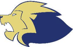 McMillen Lion Logo 
