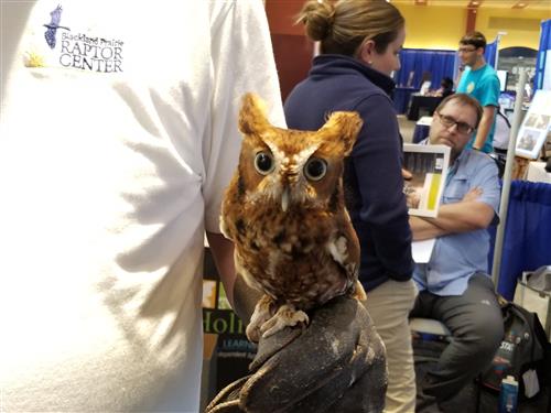 Black Land Prairie Raptor Center came by with one of their Ambassador Screech owls Black Land Prairie Raptor Center came by with one of their Ambassador Screech owls