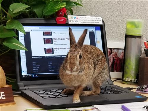 Bendi checks her email! 