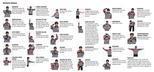 Hockey Referee Signals