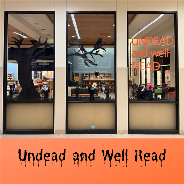 Image of window display