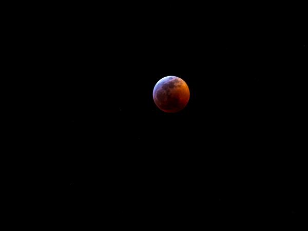 Lunar Eclipse from Plano, TX