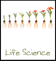 Life Science