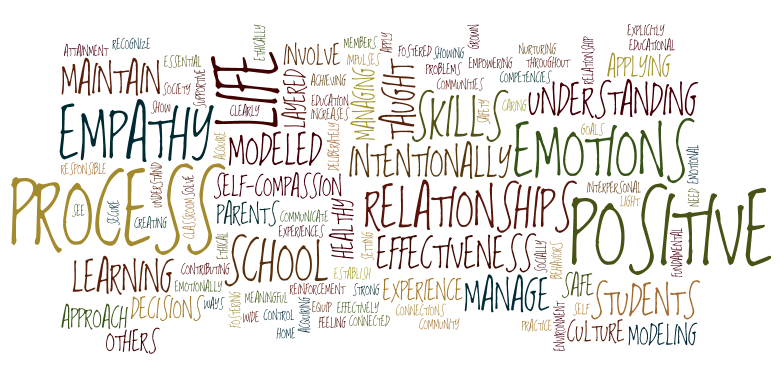 Social Emotional Learning / Overview